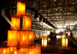 絹灯籠（とうろう）の暖かい明かりで浮かび上がる操糸場内＝富岡製糸場