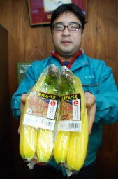 本県絹産業遺産群の世界遺産登録運動を支援するため、前橋青果が企画した「上州だんべえバナナ」