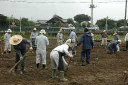 田島会長宅（後ろ）の近くで行われた桑の苗木の植え付け作業
