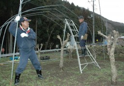 天蚕飼育用のハウス作りをする松井さん（左）と登坂さん