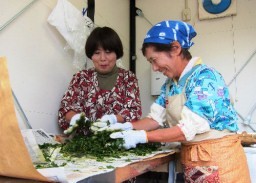 桑茶の製造に取り組む会員  