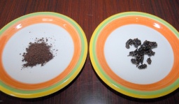 試作品として開発された乾燥した桑の実を使ったパウダー（左）と弾力感がある半乾燥タイプの桑の実 