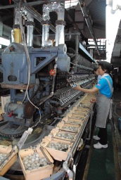 碓氷製糸の工場では、稼働する繰糸機を見ることができる